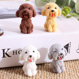 Teddy Rubber Eraser For Kids